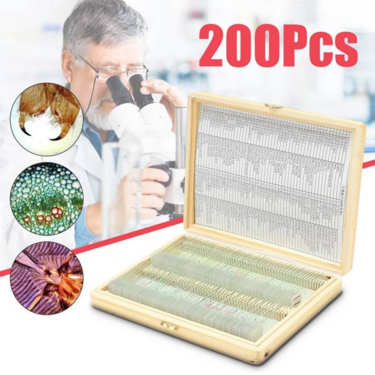 Vetrini preparati per microscopio, una vasta collezione che comprende parti di insetti, parti di piante, parti di animali, anfibi, rane, parti organiche ecc. Spedizione gratuita